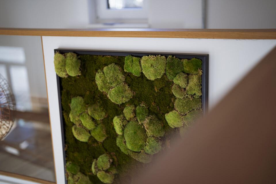 Moosbild Mossbild, dient es angenehmen Raumklimas und weist einen ästhetischen Anblick auf
