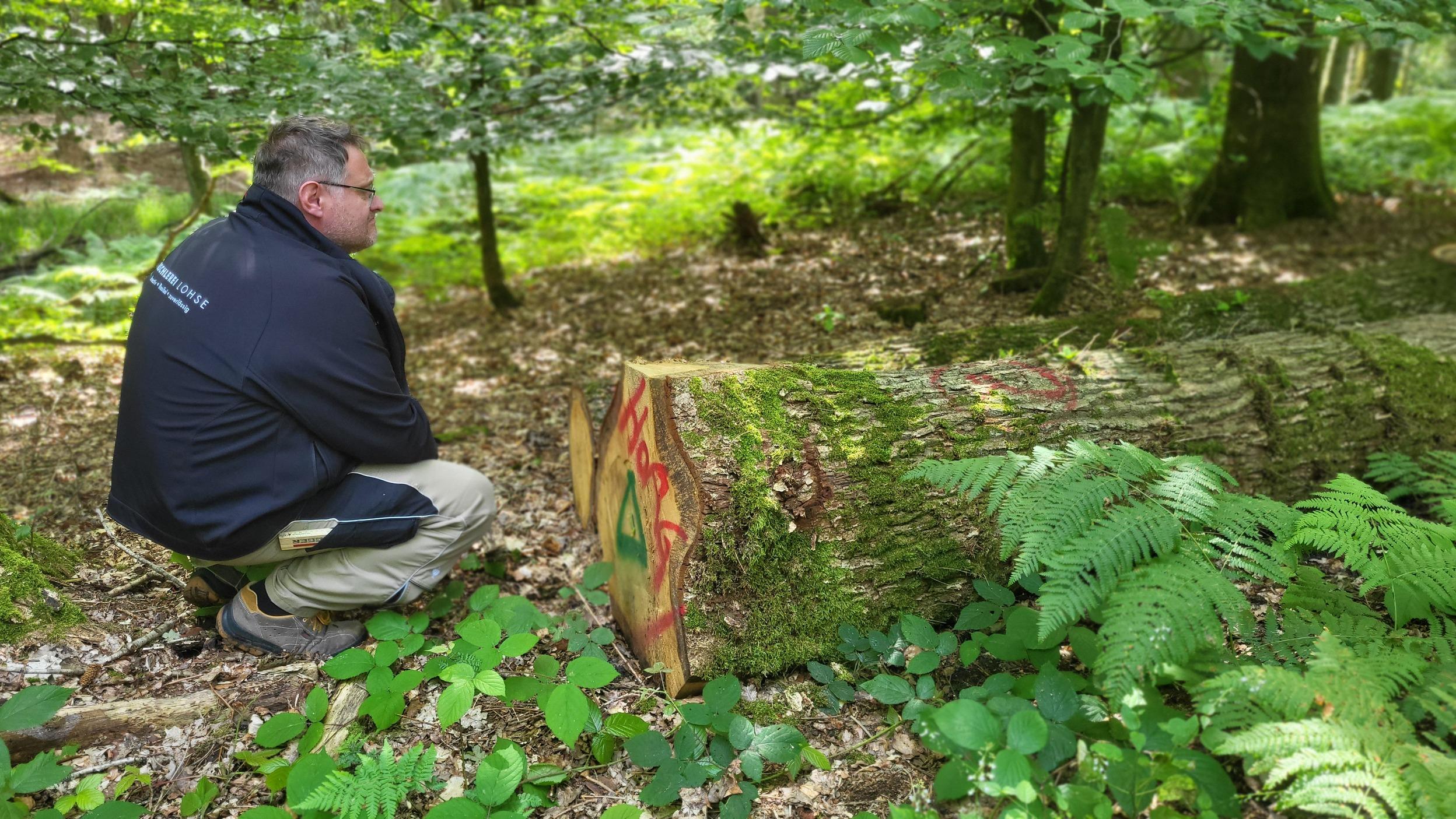 Lars Lohse kniend im Wald neben einem Baumstamm im Sommer bei gutem Wetter